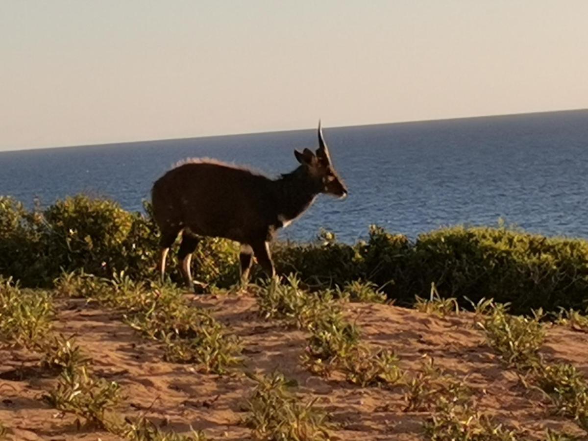 Lodge 93 Mossel Bay Eksteriør billede